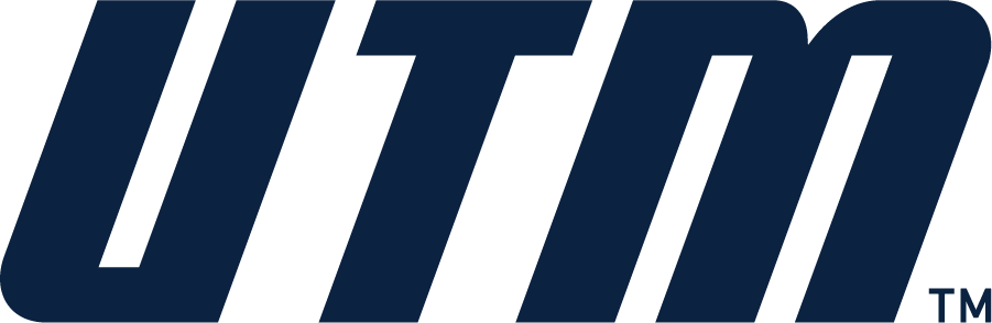 Tennessee-Martin Skyhawks 2020-Pres Wordmark Logo DIY iron on transfer (heat transfer)